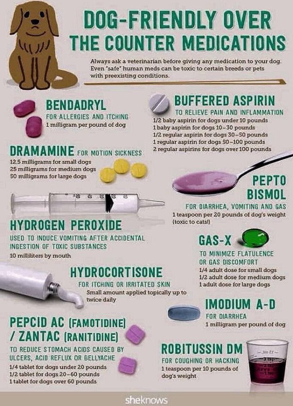 How much Benadryl is safe for a dog? - Quora How Much Benadryl Is Safe For A Dog? - Quora