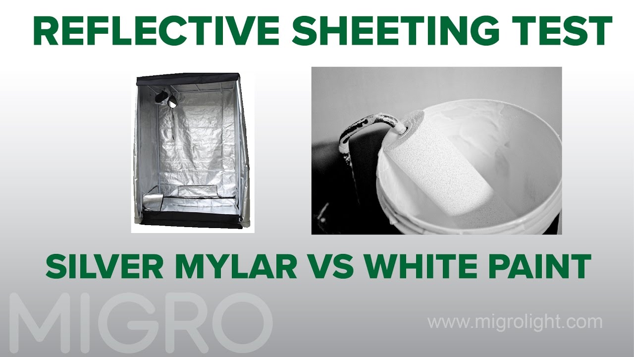 Grow room reflective sheeting - white paint vs silver mylar - YouTube Grow Room Reflective Sheeting - White Paint Vs Silver Mylar - Youtube