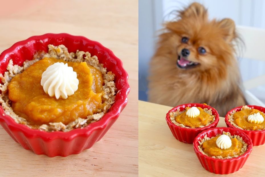 is-pumpkin-pie-filling-safe-for-dogs-a-guide-to-canine-nutrition