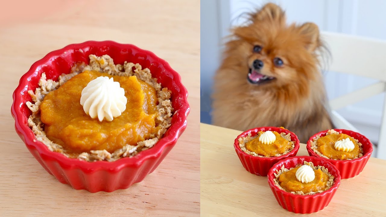 How to Make Pumpkin Pie for DOGS | RECIPE | PADDINGTON'S PANTRY - YouTube How To Make Pumpkin Pie For Dogs | Recipe | Paddington'S Pantry - Youtube