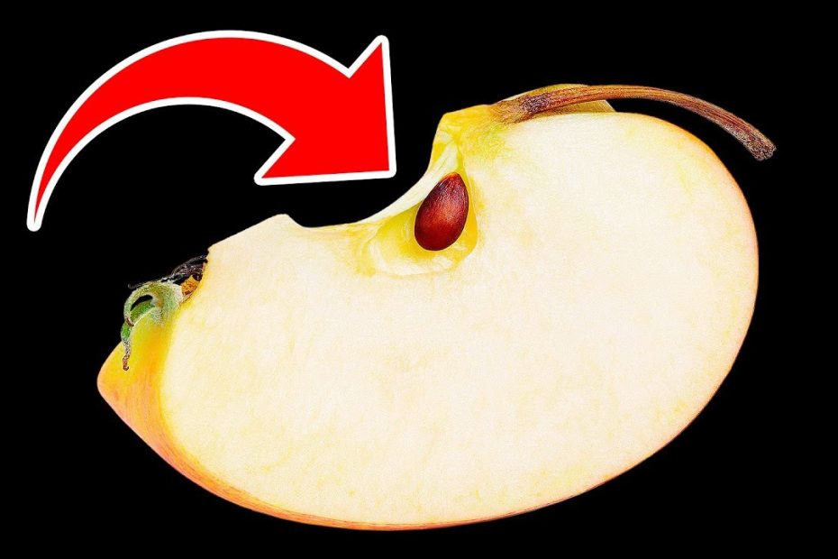What Will Happen If You Eat Apple Seeds - Youtube