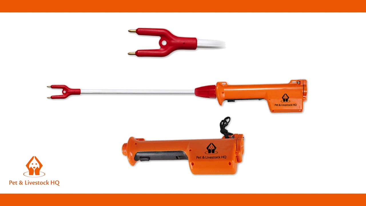 Cattle Prodder Rechargeable Prod - 9000V Electric Shock with 71cm Shaf – Pet Control HQ Cattle Prodder Rechargeable Prod - 9000V Electric Shock With 71Cm Shaf – Pet Control Hq