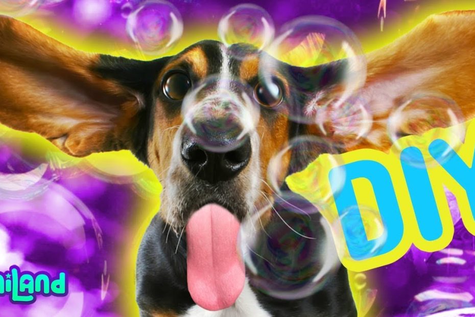 Is It Ok To Play With Bubbles With My Dog? [7 Factors To Consider] | First  Time Dog Mom