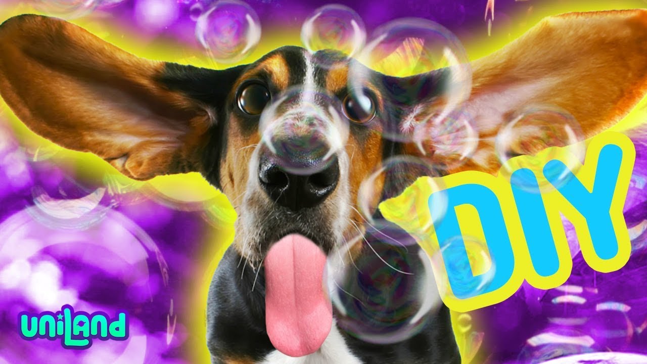 Is It Ok To Play With Bubbles With My Dog? [7 Factors To Consider] | First  Time Dog Mom