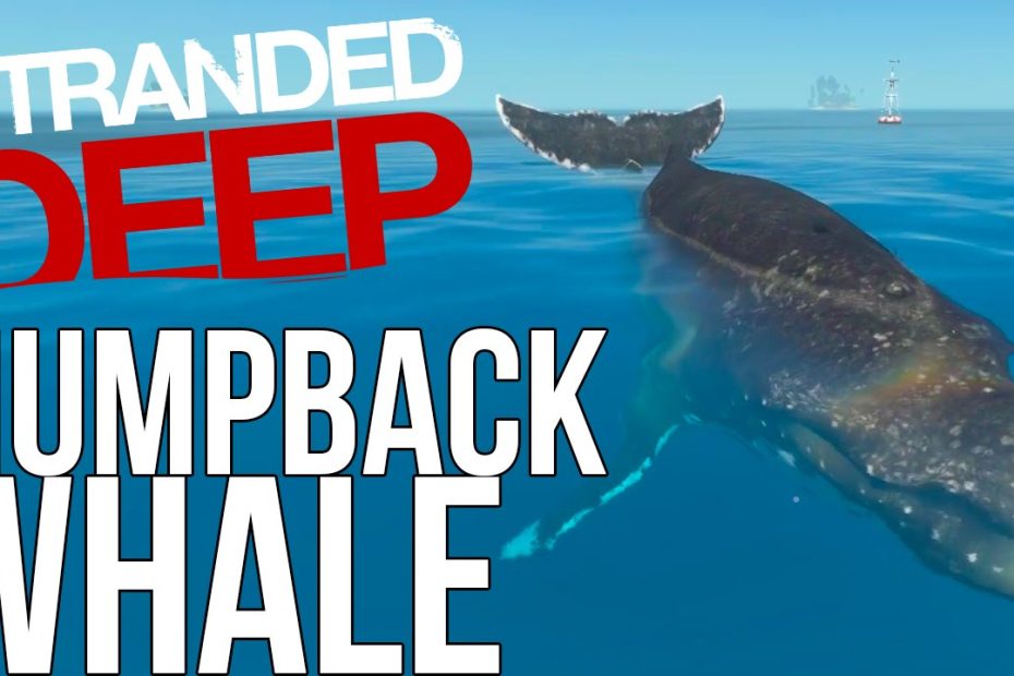 Let'S Play Stranded Deep Gameplay - Humpback Whale! - Whales Great White - Stranded  Deep Part 8 - Youtube