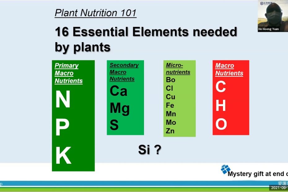 What Are The 16 Essential Elements Every [Subject] Enthusiast Should Know?