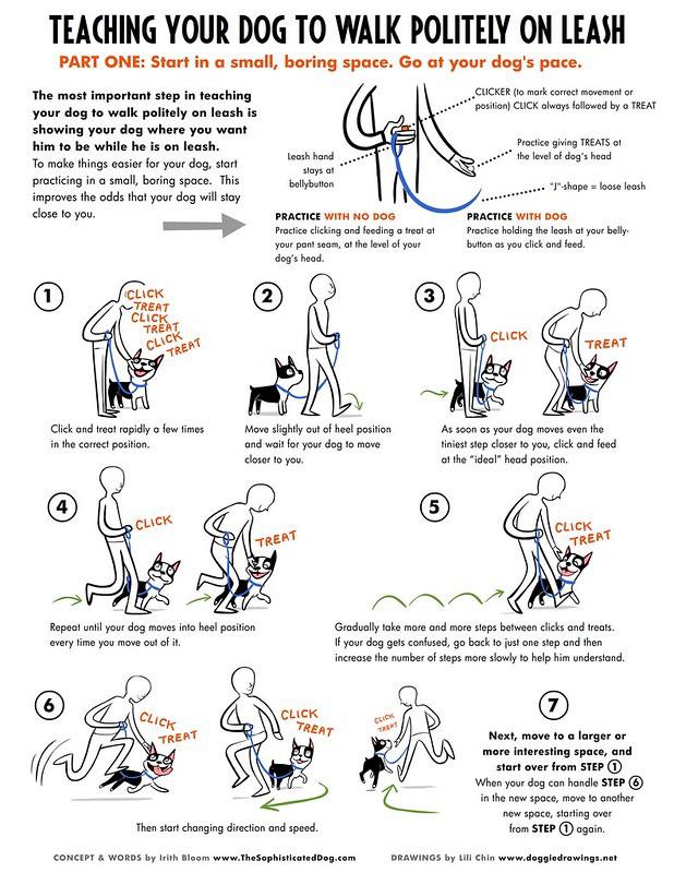 A Really Great Infographic I Found On Loose Leash Training. Credit to Lili Chin : r/Dogtraining A Really Great Infographic I Found On Loose Leash Training. Credit To Lili Chin : R/Dogtraining