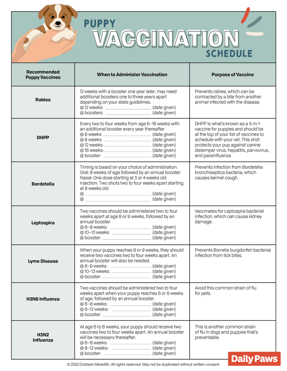 First-Year Puppy Vaccination Schedule Chart to Follow First-Year Puppy Vaccination Schedule Chart To Follow