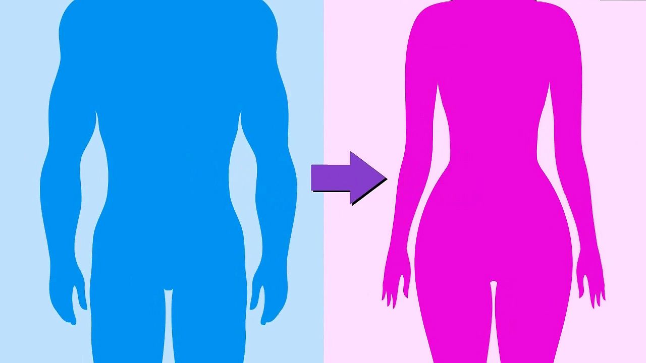 Role of hormone therapy in transitioning genders | Britannica Role Of Hormone Therapy In Transitioning Genders | Britannica