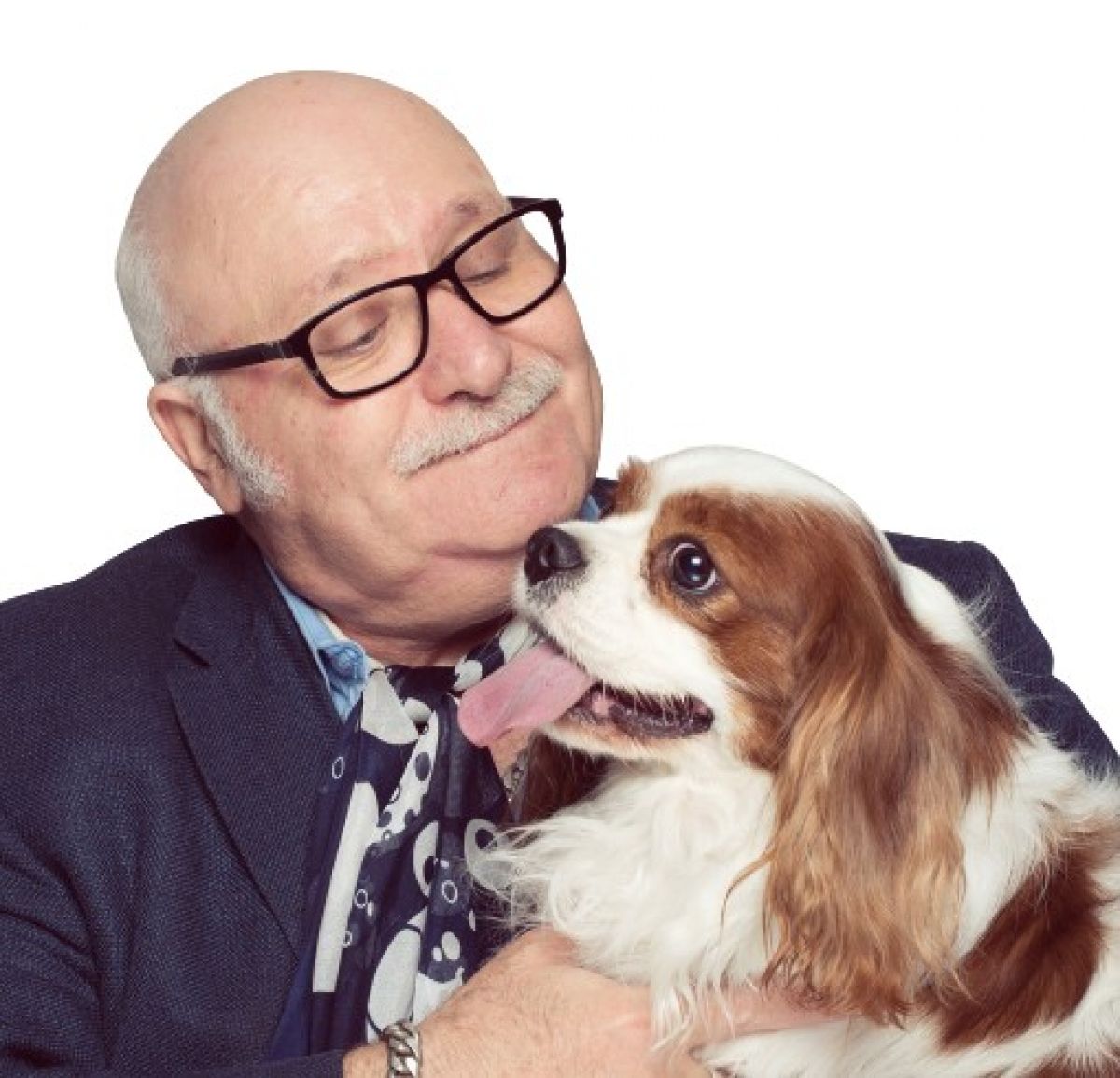 Do Dogs Love People More Than They Love Other Dogs? | Psychology Today Do Dogs Love People More Than They Love Other Dogs? | Psychology Today