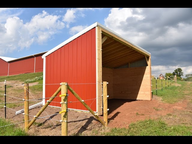 What Is A Loafing Shed? Guide - Housekeepingbay