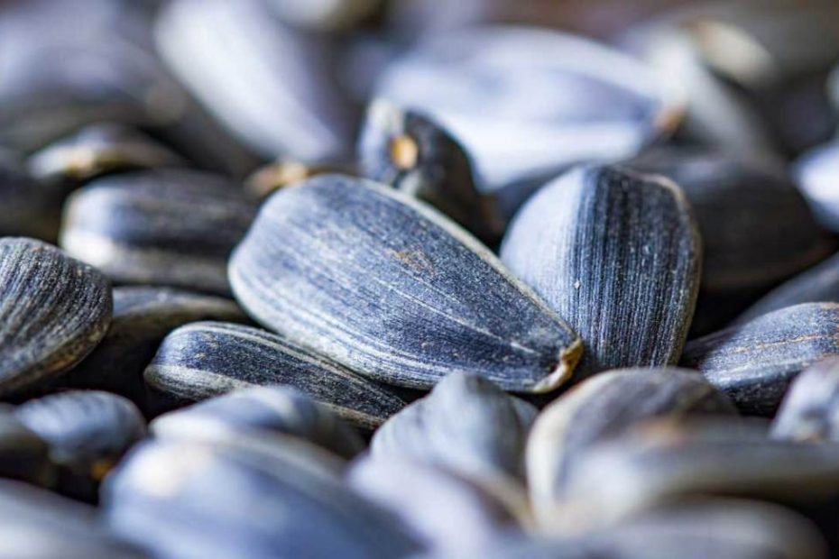 Sunflower Seeds: Nutrition, Health Benefits And How To Eat Them