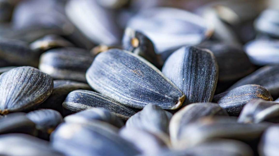 Sunflower Seeds: Nutrition, Health Benefits And How To Eat Them