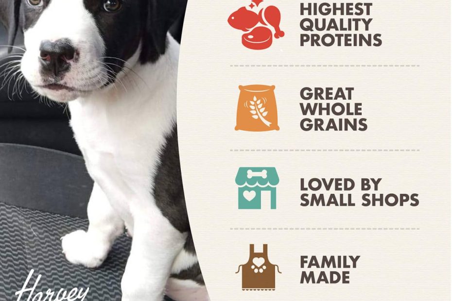Puppy Gold Food For Dogs - Fromm Family Foods