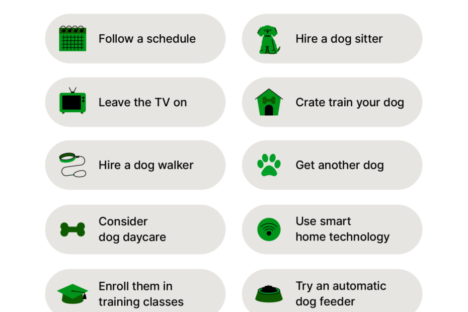 Leaving Your Dog Home Alone While At Work: A Guilt-Free Guide