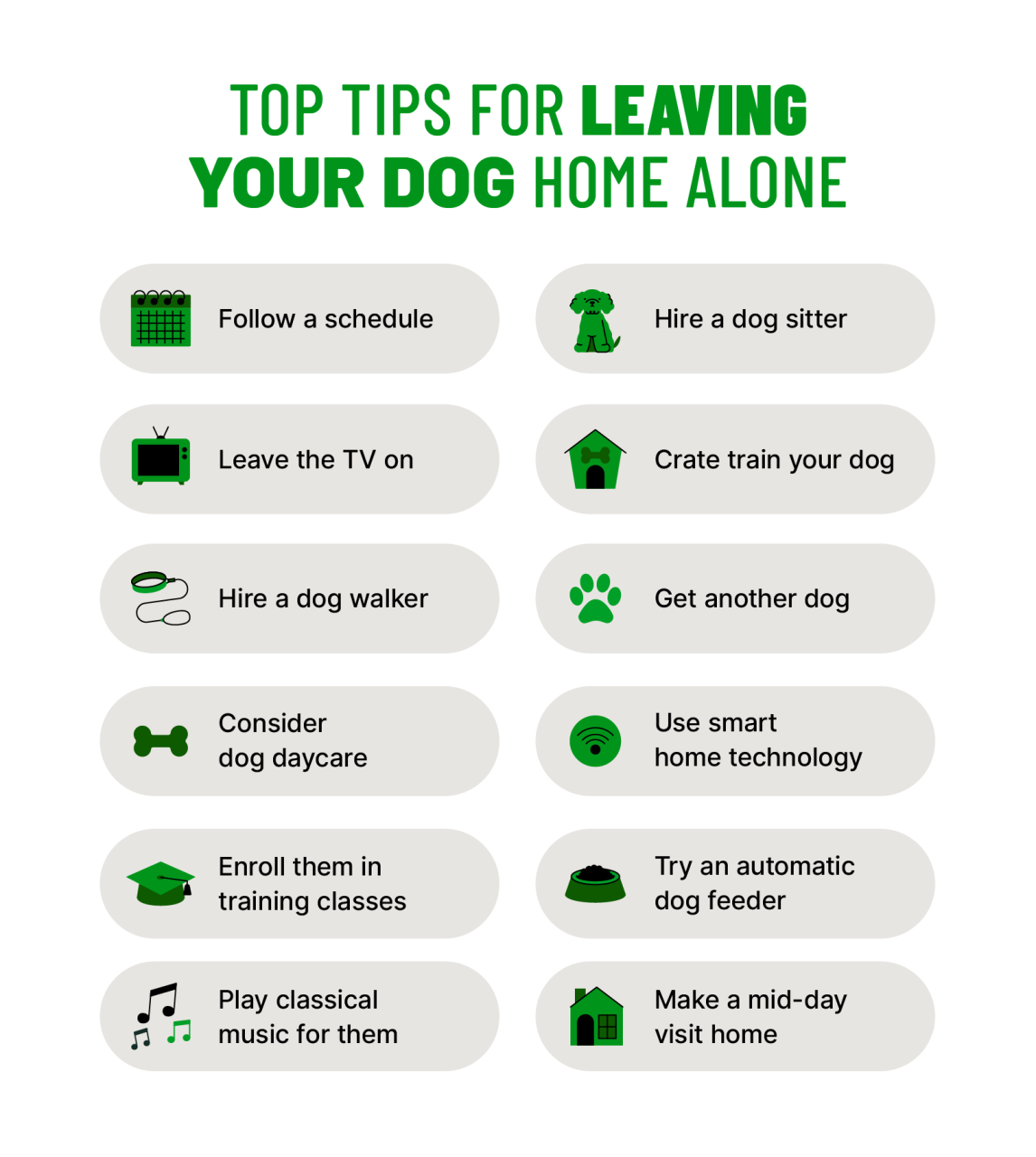 Leaving Your Dog Home Alone While at Work: A Guilt-Free Guide Leaving Your Dog Home Alone While At Work: A Guilt-Free Guide