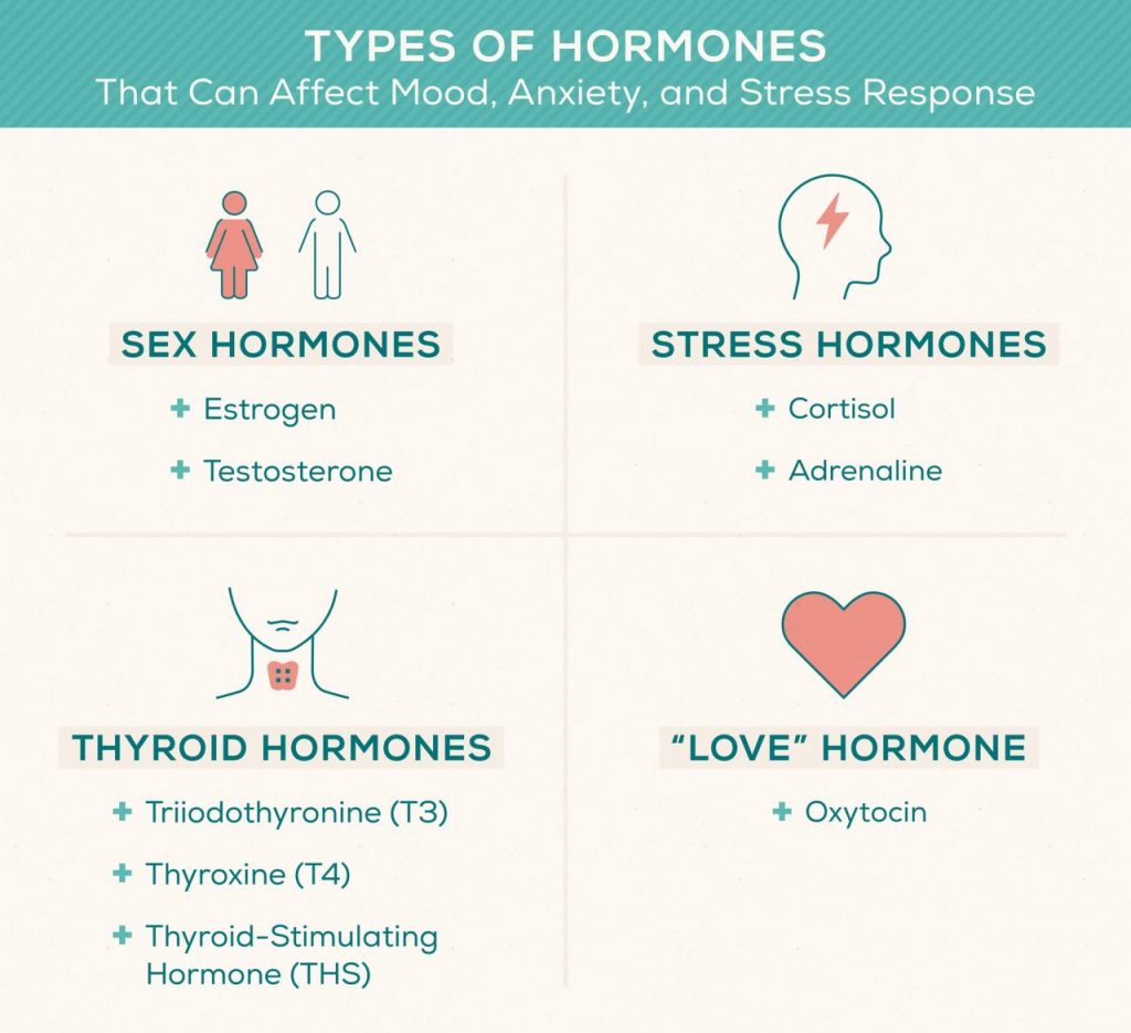 Which Hormones Control Our Emotions: Unveiling The Chemical Influencers