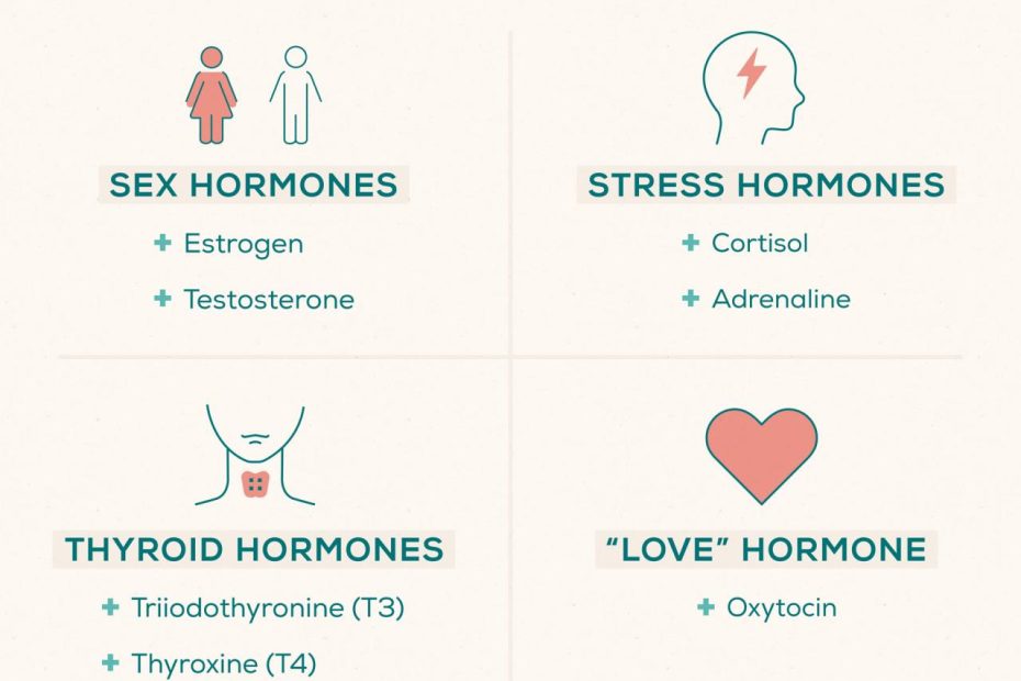 The Link Between Hormones And Anxiety | Everlywell