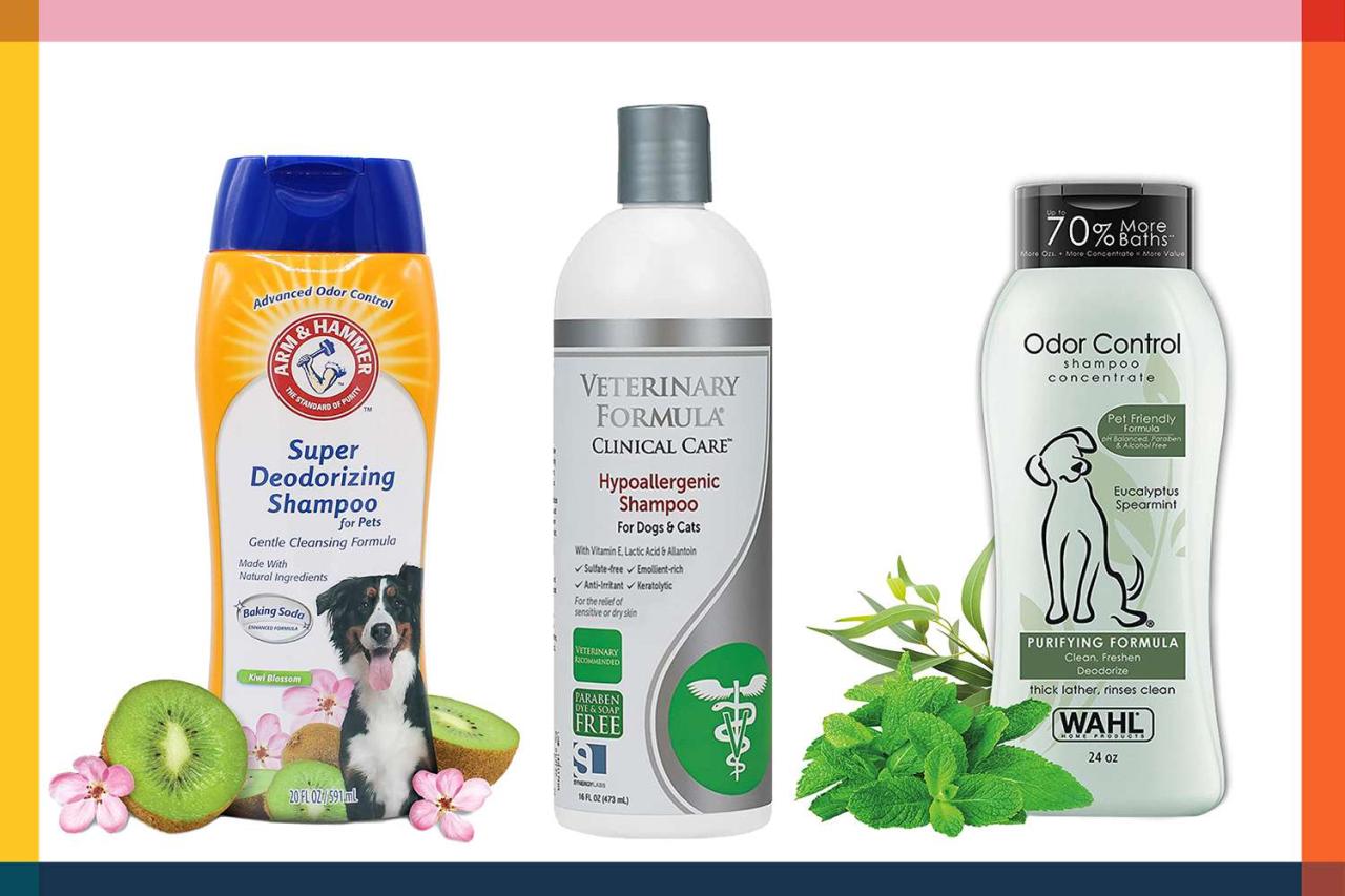 The 12 Best Dog Shampoos of 2023 The 12 Best Dog Shampoos Of 2023