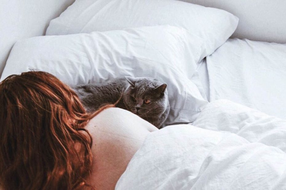 Should You Let Your Cat Sleep In Bed With You?