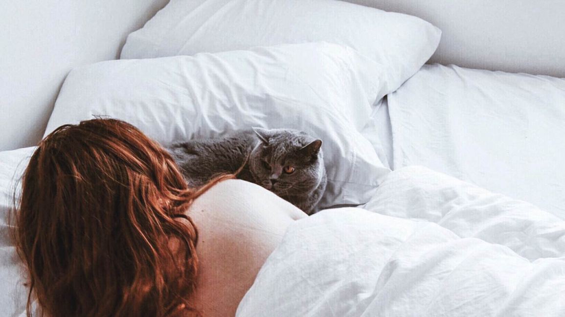 Should You Let Your Cat Sleep in Bed with You? Should You Let Your Cat Sleep In Bed With You?
