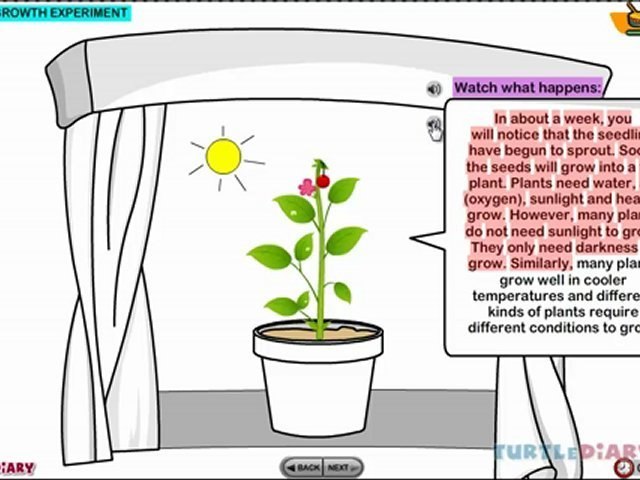 Plant Growth Experiment - Video Dailymotion