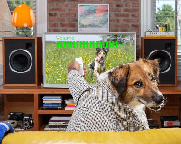 Dogtv Is Tv For Dogs. Except When It'S For People. - The New York Times