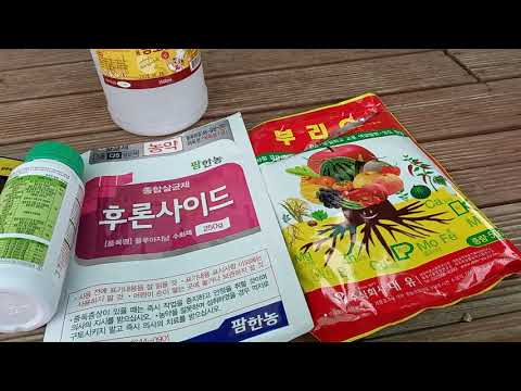 비오기전에 철저 방제,수질PH는4.5정도 후론사이드,알리세,옥수수파종 비오기전에 철저 방제,수질PH는4.5정도 후론사이드,알리세,옥수수파종