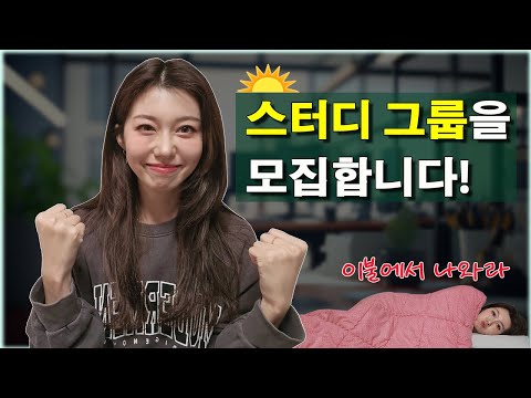 그룹프로젝트 하고싶은 사람 모여라! | 코딩 스터디그룹 모집