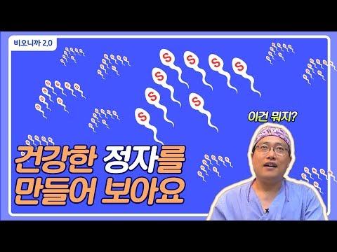 3개월이면 건강한 정자를 만들 수 있다. [비뇨의학과 비뇨기과]