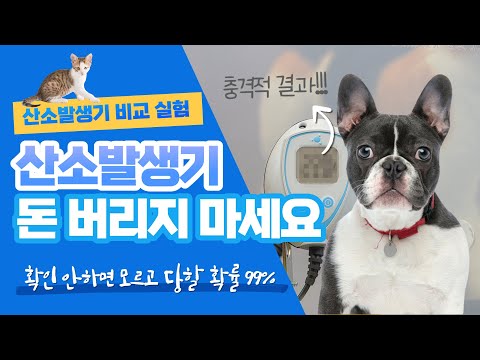 [강아지 산소방 만들기] 산소발생기 사기 전 반드시 확인하세요 ✔ 충격적 실험 결과..  이런 산소발생기에 돈 버리지 마세요