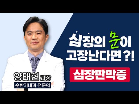 자칫하면 급사로 이어질 수 있는 '심장판막증' 이상 증상, 이것만은 꼭 기억해라!!! / 부산MBC TV닥터인사이드 220328 방송