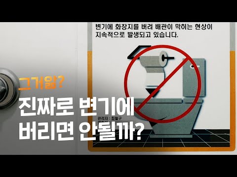 왜 휴지는 휴지통에 버리라는 걸까?