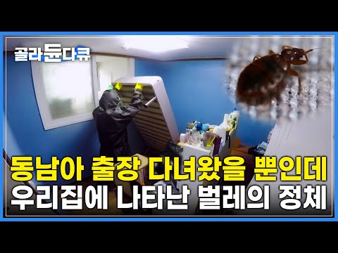 우리집에 피를 빨아 먹는 벌레가 있다 | 피부질환과 알레르기를 일으키는 빈대 박멸 과정 공개 | 극한직업 | #골라듄다큐