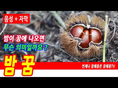밤 꿈해몽, 밤꿈, 밤 나오는 꿈, 밤나무 꿈, 알밤꿈, 군밤 먹는 꿈, 밤송이가 떨어지는 꿈, 밤 관련 꿈