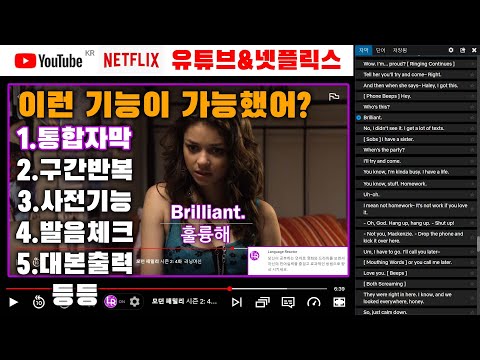 유튜브와 넷플릭스를 이용해서 공짜로 영어공부할 수 있는 방법 (몰랐다면 신세계를 볼수있음)