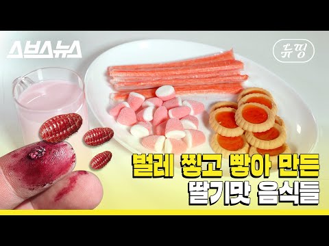 [뉴띵EP.10] ★세계 최초★ 연지벌레 없이 딸기우유 마시는 방법 공개!!! / 스브스뉴스
