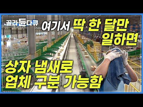 '아무리 힘들어도 급전 필요할 때 이만한 알바 없다?' 한 달만 일하면 박스냄새만 맡고도 업체 구분 가능📦 택배 물류센터 현장ㅣ단기간에 목돈벌기ㅣ단타족·투잡족ㅣ극한직업ㅣ#골라듄다큐